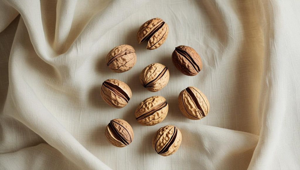 Walnut Allergy: What Parents Need to Know